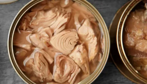 قیمت تن ماهی در روغن آفتابگردان با کیفیت ارزان + خرید عمده